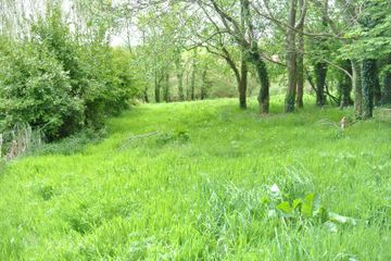 Castletreasure, Douglas, Rathmacullig, Co. Cork, T12TDC9 — photo 3