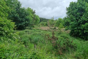 Furroor Kilmaley, Ennis, Co. Clare — photo 3