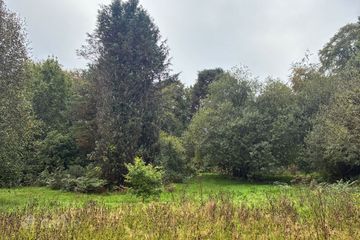 Rocklodge, Carrigrohane, Co. Cork, T12P2FP — photo 2