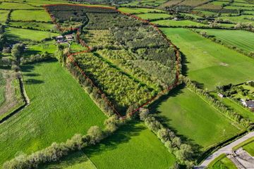 Carraigeen, Baltinglass, Co. Wicklow