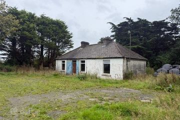 Muckenaugh, Lixnaw, Co. Kerry, V92P8X6