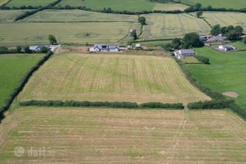 Drumashellig, Ballyroan, Co. Laois, R32H7R7 — photo 3
