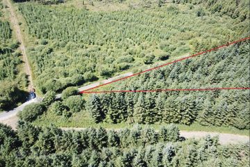 Forestry Land At Smithstown, Mullinavat, Co. Kilkenny