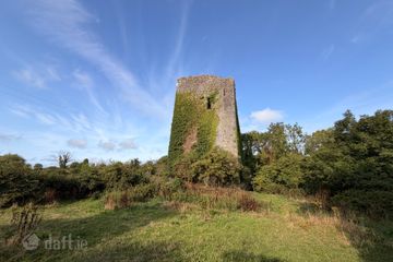 Ballygriffey Castle Ruins On 0.7ha, Folio CE3481F, Ballygriffey South, Ruan, Co. Clare