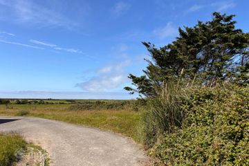 Tacumshin, Tomhaggard, Co. Wexford, Y35P9T7 — photo 2