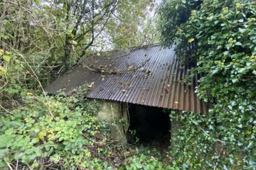 Ballysallagh (Derelict Res. & C. 3 Acres), Hacketstown, Co. Carlow — photo 3
