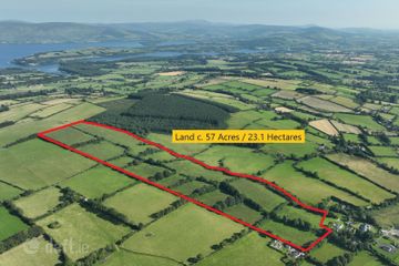 Land C. 57 Acres / 23.1 Hectares, Newtown Great, Ballymore Eustace, Naas, Co. Kildare