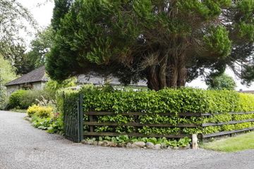 Skehana, Coolbawn, Nenagh, Co. Tipperary, E45TX48 — photo 3