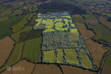 104 Acres at Gneeves, Lombardstown, Co. Cork, P51AX57