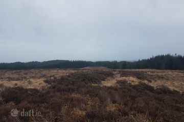 Tyreda Upper, Tulla, Co. Clare — photo 2