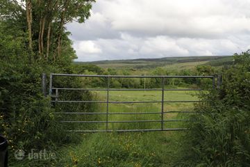 IMG_8610.JPG