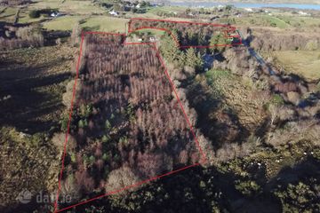 Forestry At Cloghbrack Upper, Cloughbrack Upper, Cornamona, Co. Galway — photo 3