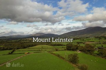 Slievedurda Borris Co Carlow , Borris, Co. Carlow — photo 3