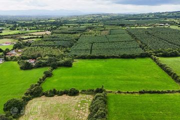 Lands Rossmore, Cashel, Co. Tipperary — photo 3