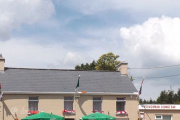 The Ploughman, Ballinagree, Ballynagree, Co. Cork — photo 3