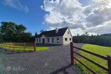 Killaneen, Ballinamore, Co. Leitrim, N41EE76 — photo 3