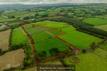 Dromtrasna Collins, Abbeyfeale, Co. Limerick