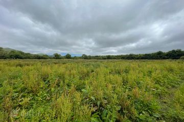 Leith West, Tralee, Co. Kerry