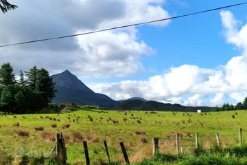 Fanaboy, Gortahork, Co. Donegal