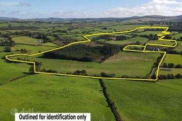 Tooreenbane, Millstreet, Co. Cork — photo 3