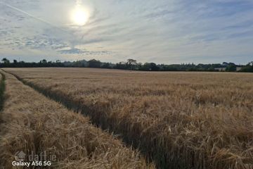 Rathdaniel , Collon, Co. Louth