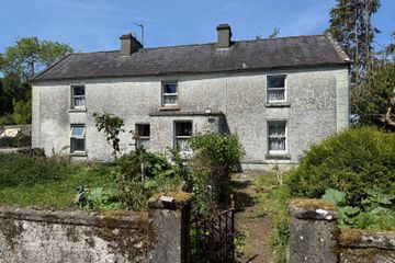 Ballyfa, New Inn, Ballinasloe, Co. Galway, H53AR23 — photo 2