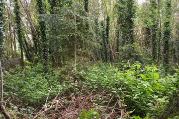 Kilmacoo, Avoca, Co. Wicklow — photo 2