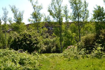 3 Acre Site For Sale , Pontoon, Castlebar, Co. Mayo — photo 2