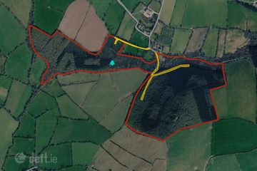 Saddle Hill, Blessington, Thomastown, Co. Kilkenny — photo 2