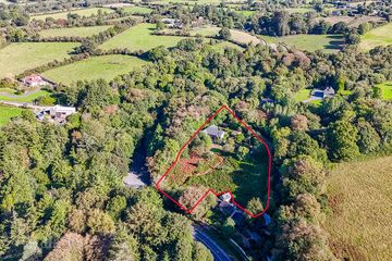 Forty Shades, Laurelhill, Inistioge, Co. Kilkenny, R95P9H3 — photo 3