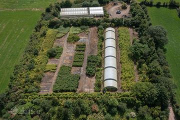 Stams Bamboo Nursery Ltd., Ballinwillin, Lismore, Co. Waterford, P51DK12