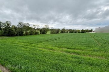 Bough, Rathvilly, Co. Carlow — photo 3