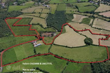 Cornagunleog Townland, Bawnboy, Co. Cavan, N41NN29 — photo 3