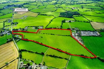 33.5 Acres Ranavogue, Crossakiel, Kells, Co. Meath, A82XY92