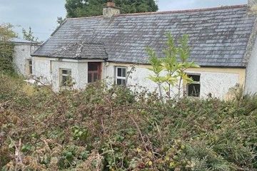Moycarky, Thurles, Horse and Jockey, Co. Tipperary, E41R208 — photo 2