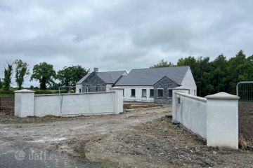 Ballymacegan, Lorrha, Portland, Co. Tipperary, E45XY79 — photo 2