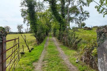Tintagh, Corrigeenroe, Co. Roscommon, F52Y863 — photo 2