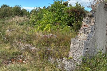 Ardree, Athy, Co. Kildare — photo 2