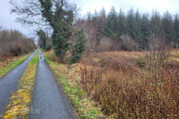 Fuel, Curry, Co. Sligo — photo 3