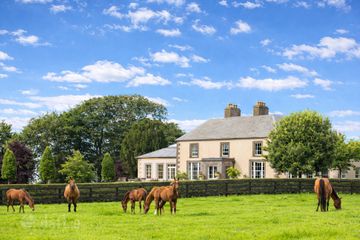 Triermore House and Stud Farm, Fordstown, Navan, County Meath, C15H5KH — photo 2