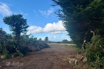 C. 3 Acres Forestry Road, Coolree, Co. Wexford — photo 3