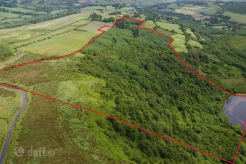 Gneeves, Millstreet, Millstreet, Co. Cork, P51EP84 — photo 3