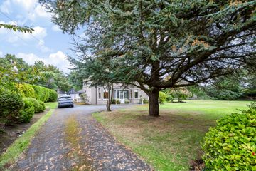 Corona, 139 Dublin Road, Sutton, Dublin 13, D13P2C8 — photo 3