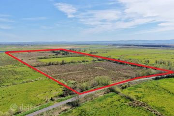 40 Acres Ballyhorgan, Ballyduff, Co. Kerry, Ballyduff, Co. Kerry — photo 3