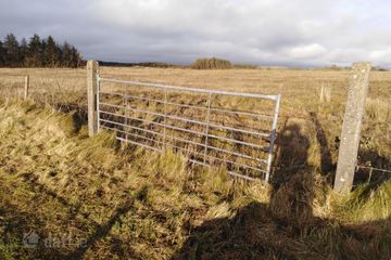 Derragh, Knock, Knock, Co. Mayo — photo 3