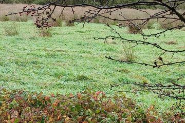 Glencollins, Ballydesmond, Co. Cork — photo 3