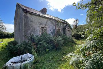 Flower Hill, Whitegate, Co. Clare — photo 2