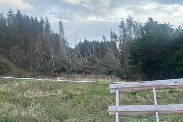 Ballytarsna, Kilshanny, Co. Clare, V95AEH5