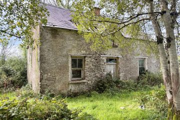 Knocks, Garadice, Ballinamore, Co. Leitrim, N41X688 — photo 2