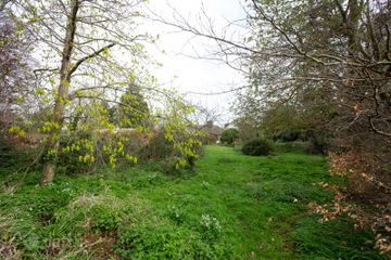 Grange Park, Dean Grange, Foxrock, Dublin 18 — photo 3